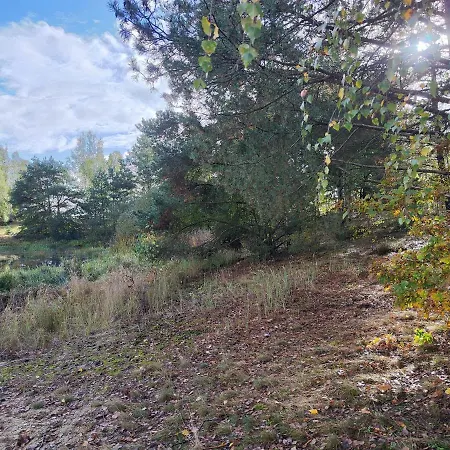 Kleine Freiheit Nummer 3