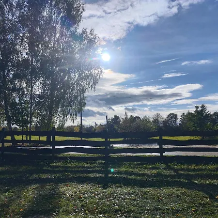 Kleine Freiheit Nummer 3