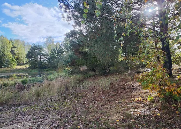 Kleine Freiheit Nummer 3