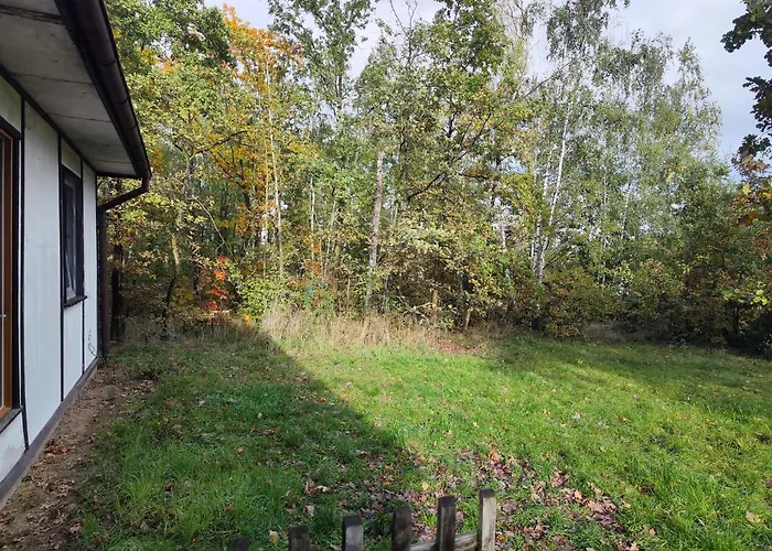 Kleine Freiheit Nummer 3