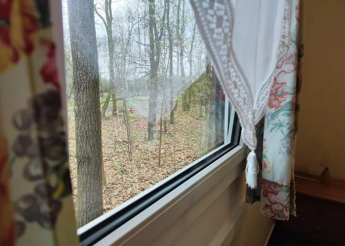 Kleine Freiheit Nummer 3 *